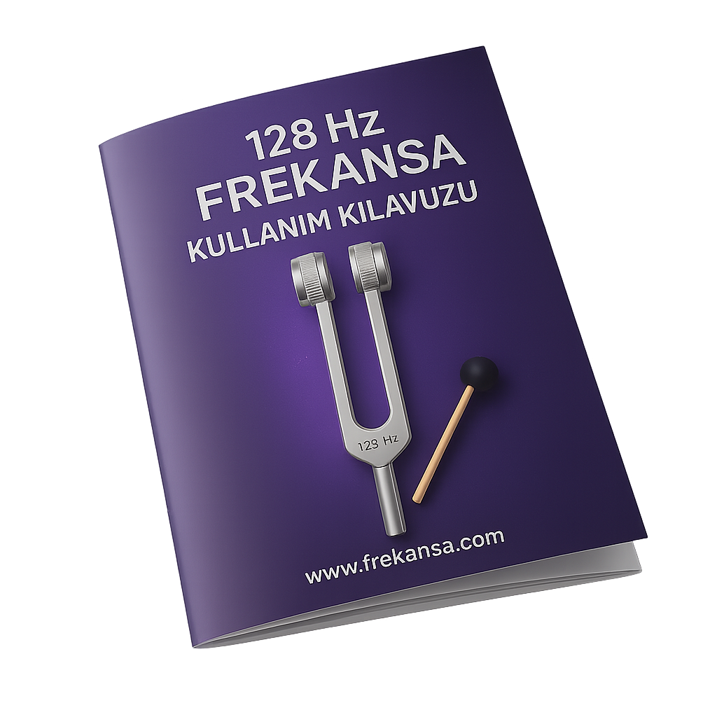 Dijital Kullanım Kılavuzu