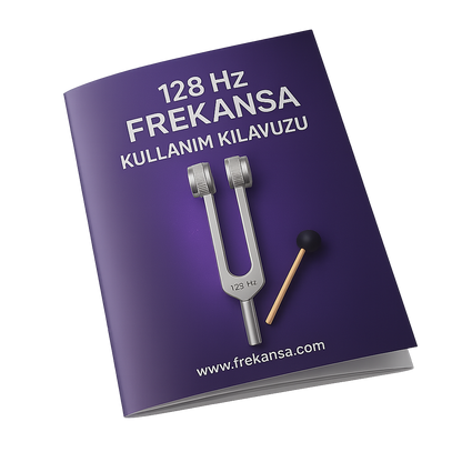 Dijital Kullanım Kılavuzu